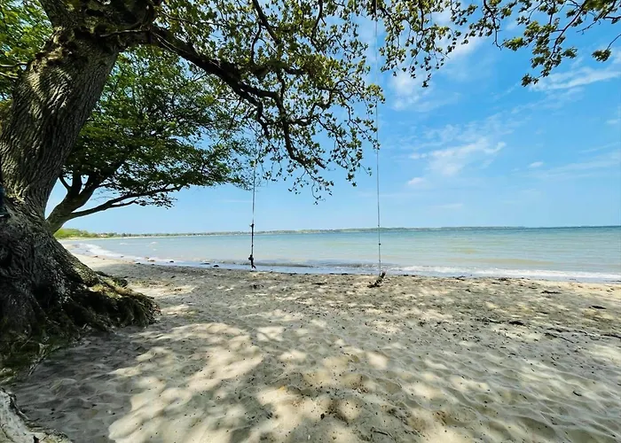 Casa vacanze 40519-juelsminde-pot-strandby-351 *